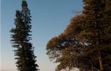 RPA + Mozambik - marzec 2010