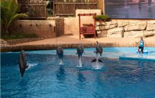 RPA + Mozambik - marzec 2010