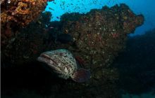 RPA + Mozambik - marzec 2010