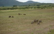 RPA + Mozambik - marzec 2010