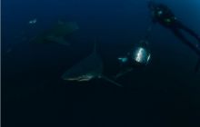 RPA + Mozambik - marzec 2010