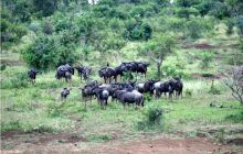 RPA + Mozambik - marzec 2010