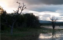 RPA + Mozambik - marzec 2010