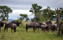 RPA + Mozambik - marzec 2010