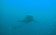 RPA + Mozambik - marzec 2010