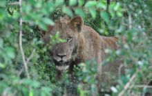 RPA + Mozambik - marzec 2010