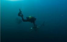 RPA + Mozambik - marzec 2010