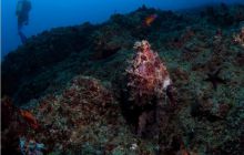 RPA + Mozambik - marzec 2010