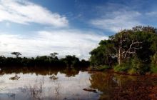 RPA + Mozambik - marzec 2010