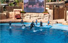 RPA + Mozambik - marzec 2010