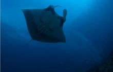 RPA + Mozambik - marzec 2010