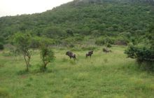 RPA + Mozambik - marzec 2010