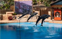 RPA + Mozambik - marzec 2010