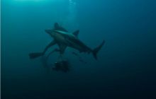 RPA + Mozambik - marzec 2010