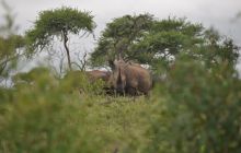 RPA + Mozambik - marzec 2010