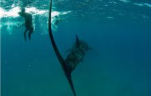 RPA + Mozambik - marzec 2010