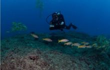 RPA + Mozambik - marzec 2010