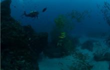 RPA + Mozambik - marzec 2010