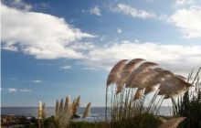 RPA + Mozambik - marzec 2010