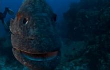 RPA + Mozambik - marzec 2010