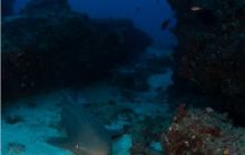 RPA + Mozambik - marzec 2010