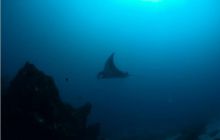 RPA + Mozambik - marzec 2010