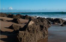 RPA + Mozambik - marzec 2010