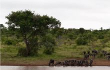 RPA + Mozambik - marzec 2010