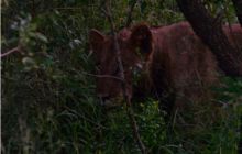 RPA + Mozambik - marzec 2010