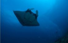 RPA + Mozambik - marzec 2010