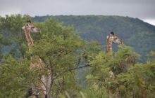 RPA + Mozambik - marzec 2010