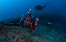 RPA + Mozambik - marzec 2010