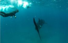 RPA + Mozambik - marzec 2010