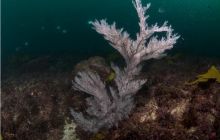 RPA + Mozambik - marzec 2010