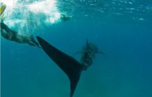 RPA + Mozambik - marzec 2010