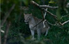 RPA + Mozambik - marzec 2010