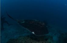 RPA + Mozambik - marzec 2010