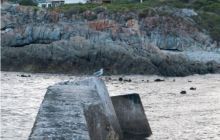 RPA + Mozambik - marzec 2010