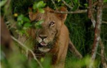 RPA + Mozambik - marzec 2010