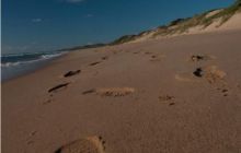 RPA + Mozambik - marzec 2010