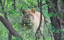 RPA + Mozambik - marzec 2010