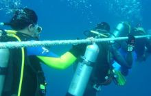 Safari wrakowe - maj 2010