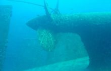 Safari wrakowe - maj 2010