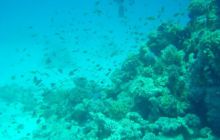 Safari wrakowe - maj 2010