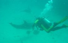 Safari wrakowe - maj 2010