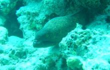 Safari wrakowe - maj 2010