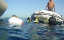 Safari wrakowe - maj 2010