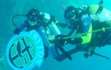 Safari wrakowe - maj 2010