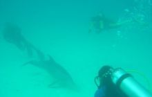 Safari wrakowe - maj 2010