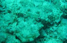 Safari wrakowe - maj 2010